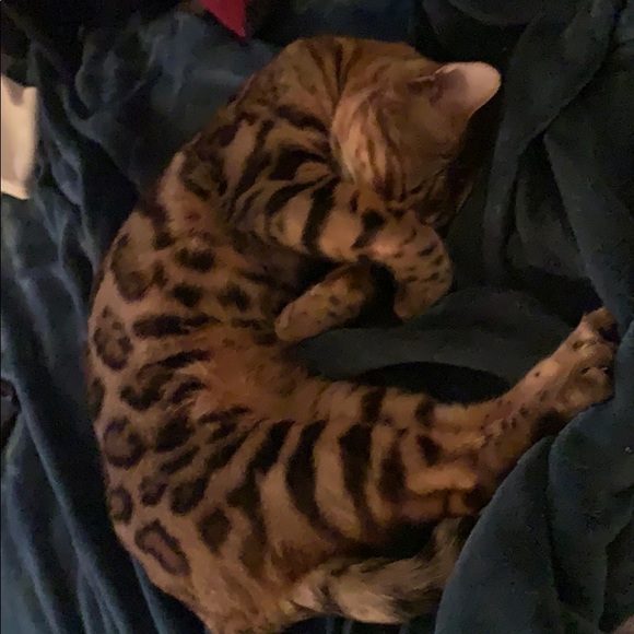 Meet your Posher, Hilaree - Picture 1 of 2